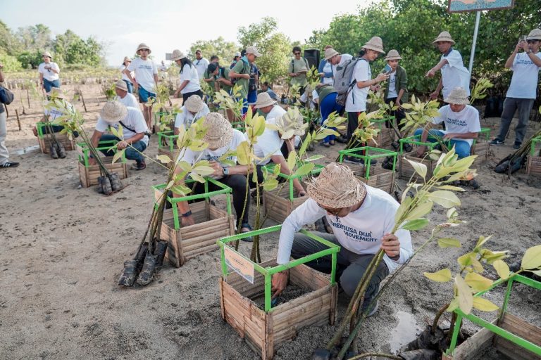 The Nusa Dua Tanam Mangrove